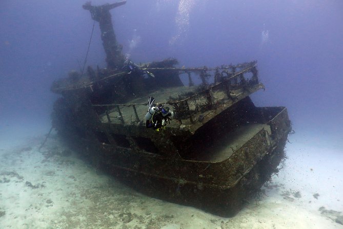 2-Tank Morning or Afternoon Dives in Playa del Carmen certified Divers Only - The One Potential Downside: Site Choice and Crowd Feel