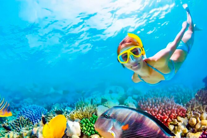 2x1 Tour: Isla Contoy, Isla Mujeres, Open Bar, Lunch and Transfers - Two islands, one protected reef day