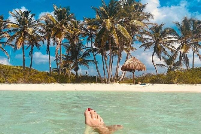 2x1 Tour: Isla Contoy, Isla Mujeres, Open Bar, Lunch and Transfers - Back to Isla Contoy: protected reserve time for birdlife and shoreline relaxing