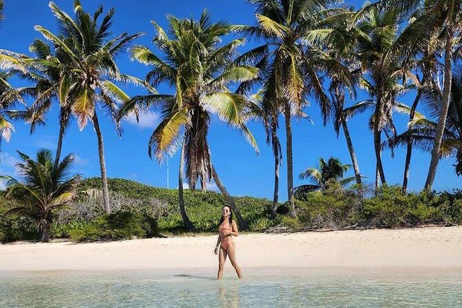 2x1 Tour: Isla Contoy, Isla Mujeres, Open Bar, Lunch and Transfers - Boat day comfort: open bar, buffet, and bilingual guide support