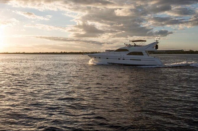 3 Hour Xpuha-60' Neptunus-Tulum, Playa del Carmen, Riviera Maya - Punta Venado snorkeling: what you’ll see and what to expect