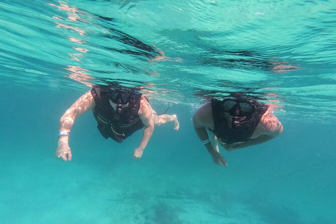 3 in 1 Private Tour Tulum Cenote and Snorkeling in the reef - Pickup and Timing: How to Avoid a Wasted Day