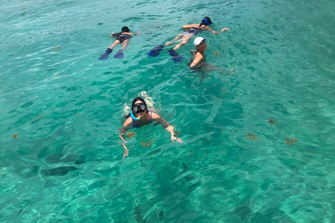 4 hours - Private 48ft Yacht all inclusive in Tulum and Playa del Carmen - Stop 3: Playa del Carmen area near the reef and beach time (about 1.5 hours)