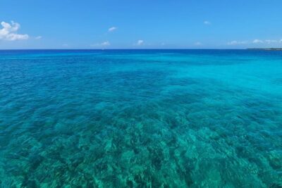 4H Luxury 44' Catamaran All-Inclusive in Tulum & Playa del Carmen - In-Ha Reef snorkeling time: how to make the most of it