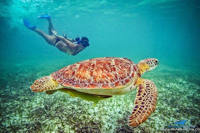 4H Private 38'Catamaran All-Inclusive in Tulum & Playa del Carmen - Should you book this Riviera Elite private charter?