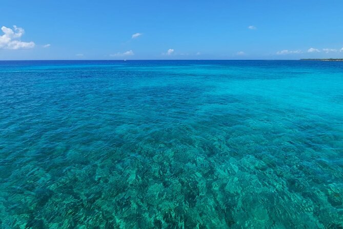 5-Hour 38'Luxury Catamaran All-Inclusive Tulum & Playa del Carmen - Onboard food and drinks: ceviche lunch plus real refreshment flow