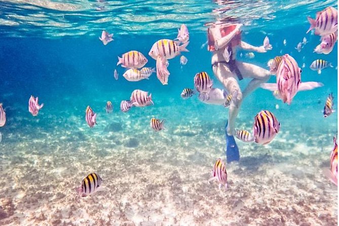 5H Private 44' Catamaran All-Inclusive - Tulum & Playa del Carmen - What’s really included: open bar, towels, snorkel gear, and lunch