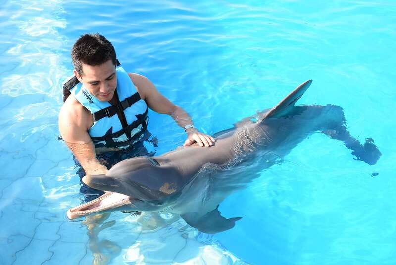 Akumal: Dolphin Encounter - Watch the photo bill