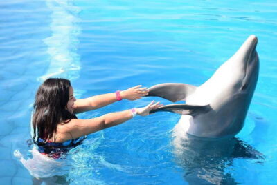 Akumal: Dolphin Encounter - Akumal dolphin encounter: what the 55 minutes really means