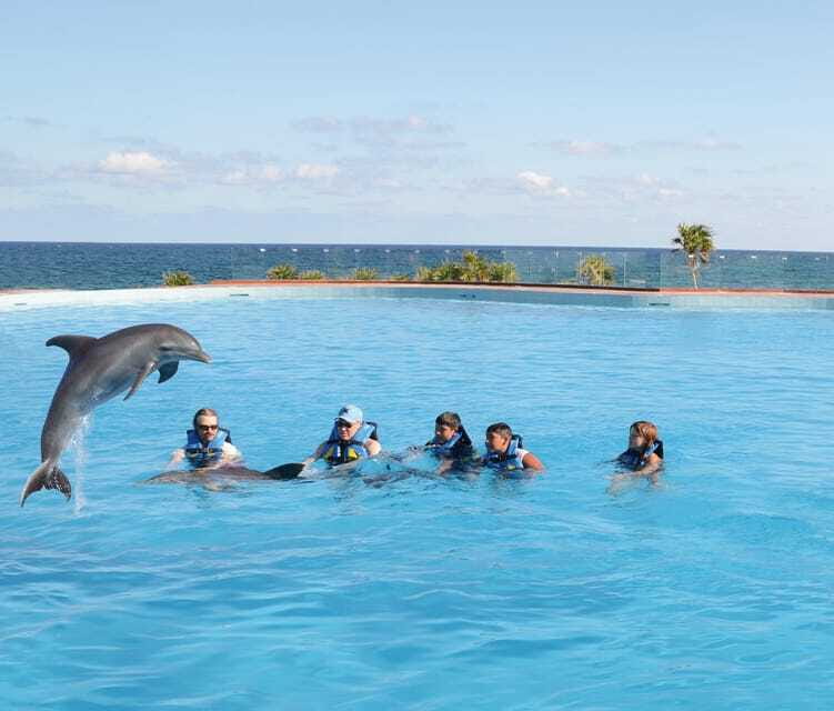 Akumal: Dolphin Encounter - Frida and the role of the guide in your dolphin time