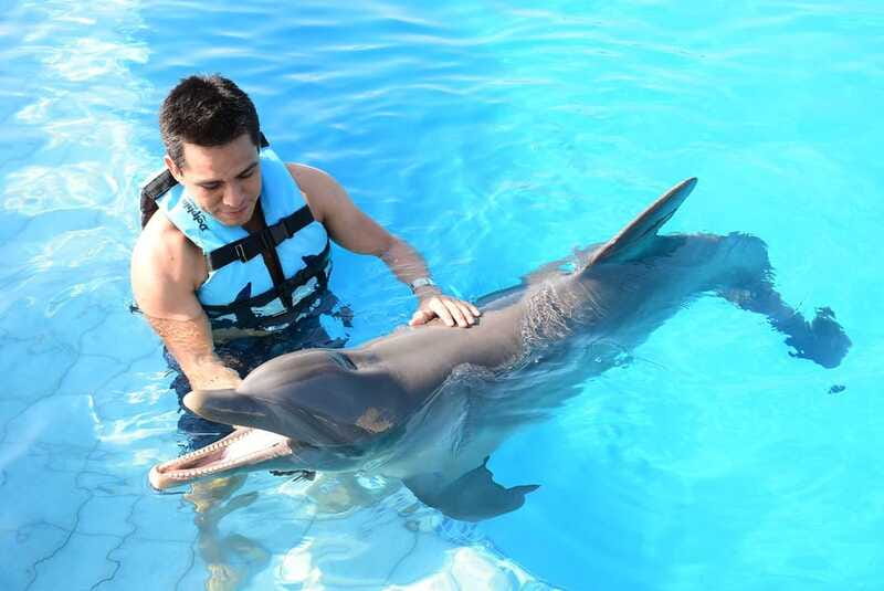 Akumal: Dolphin Encounter - What to bring (and the sunscreen contradiction you should handle)