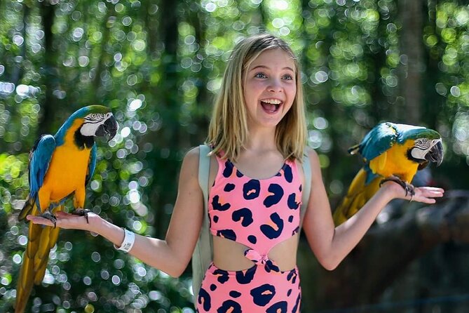 Akumal Monkey Sanctuary - Why This Rescue Sanctuary Visit Feels Different Than a Zoo
