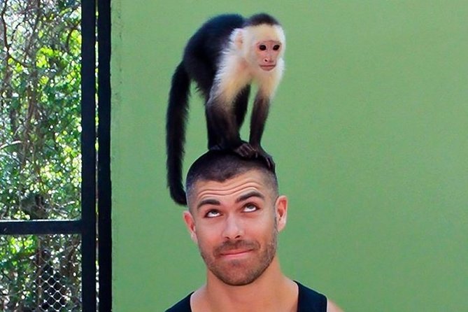 Akumal Monkey Sanctuary - Your Two-Hour Route at the Akumal Monkey Sanctuary
