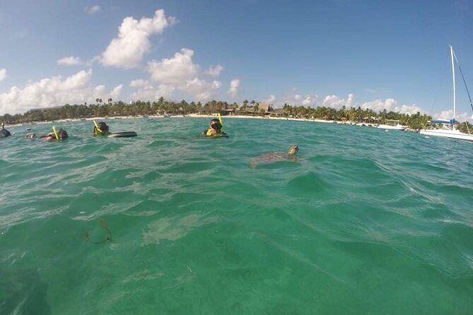 Akumal turtles sanctuary and go pro photos - Spotting sea turtles and friends (nature sets the list)