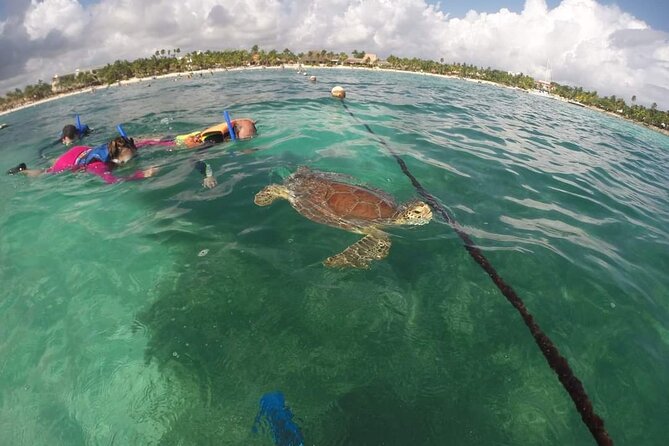 Akumal turtles sanctuary and go pro photos - GoPro photos included: how the shoot fits into your swim
