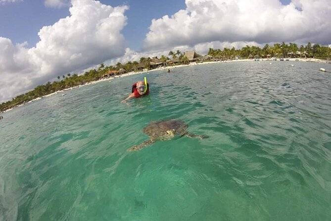 Akumal turtles sanctuary and go pro photos - After the swim: hanging around Akumal Beach