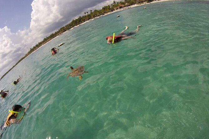 Akumal turtles sanctuary and go pro photos - Who this tour fits best (and who should think twice)
