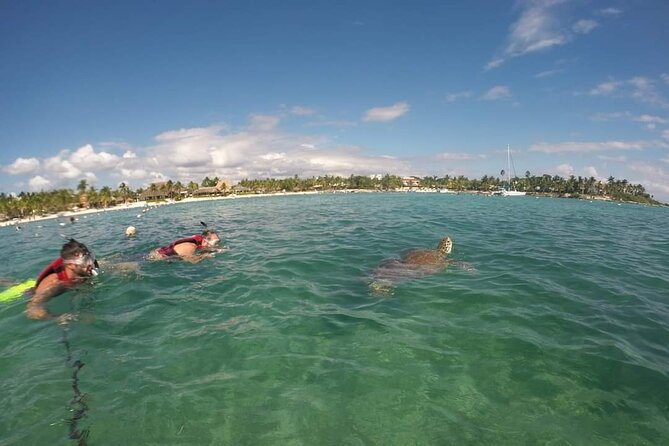 Akumal turtles sanctuary and go pro photos - The shore swim plan: your 1 hour 10 minutes in the water