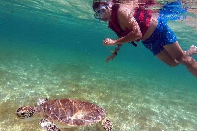 Akumal Turtles Snorkeling and GoPro pictures - Timing and Effort: Expect More Than a Relaxed Float