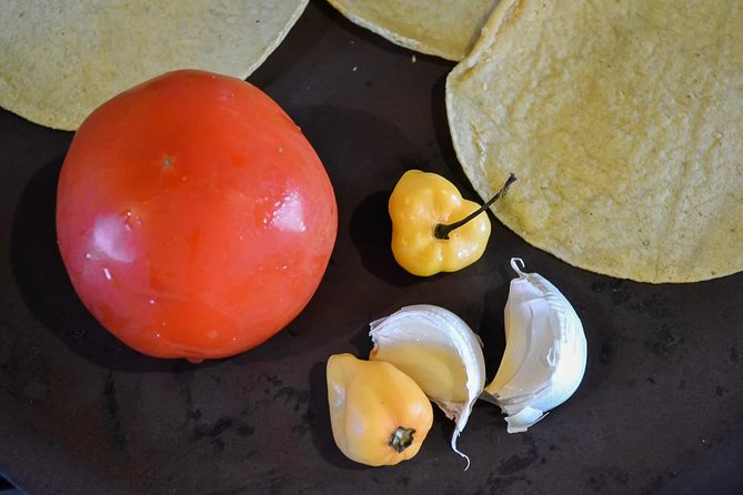 Authentic Mexican Cooking Class in Playa del Carmen - Salsas and Guacamole: Two Types, Many Lessons
