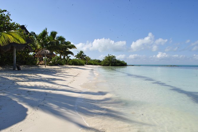 Beach Escape: Isla Contoy and Isla Mujeres with Snorkeling. - Isla Contoy and Isla Mujeres: why this pairing feels smart