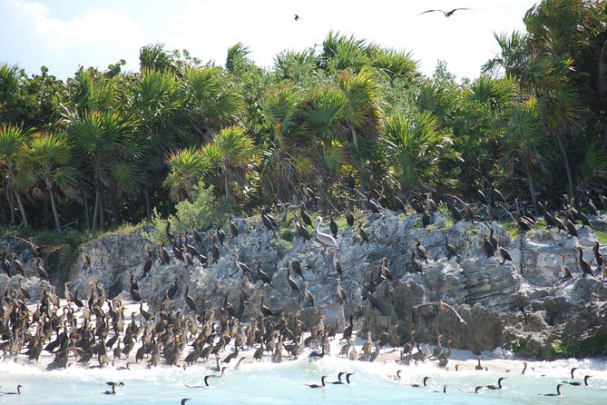 Beach Escape: Isla Contoy and Isla Mujeres with Snorkeling. - Isla Mujeres for 1 hour: beach color and shopping pressure