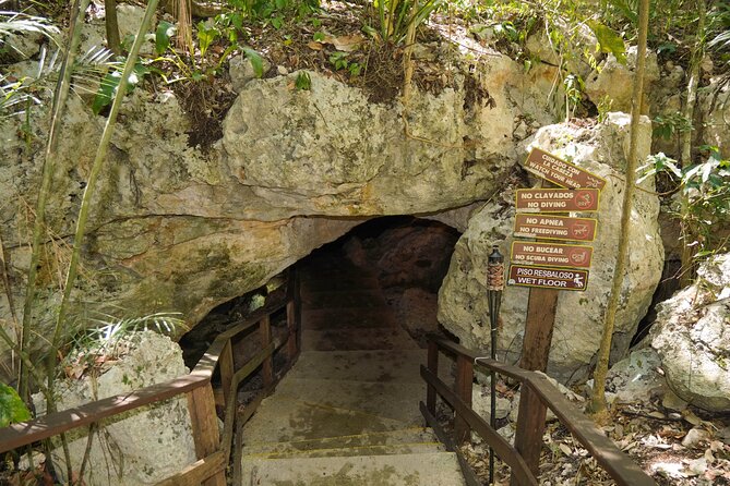 Cenote Expedition: Discover 3 Secret Cenotes with Mayan ritual - Small-group pace with Sofia: where the tour earns trust