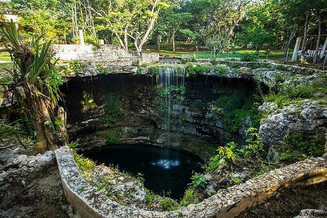 Chichén Itzá, Cenote and Valladolid with Lunch and transportation. - How the Guides Shape the Experience (and Why Language Matters)