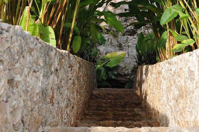 Choose your experience to live in Los 7 Cenotes San Gerónimo - What you’ll actually do: the cenote route in plain language