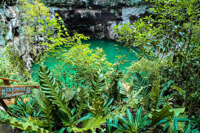 Choose your experience to live in Los 7 Cenotes San Gerónimo - Key moments that drive the rating (and why)