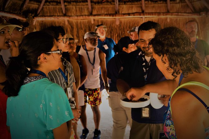 Coba and Tulum, cenote swim and buffet lunch - Comfort, Fitness, and What to Pack