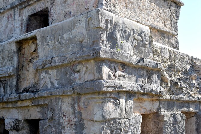 Coba Multun-Ha Cenote Tulum and Mayan Museum Small Group - Jaguar Park and the Mayan Museum: A Clean Break With Actual Artifacts