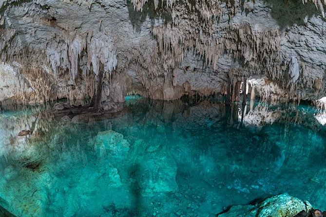 Coba Private Tour – Ancient Ruins & Refreshing Cenote Swim - Early Timing Is the Secret to Coba