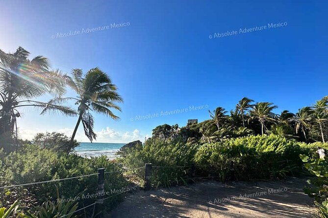 Coba & Tulum – Private Mayan Ruins Tour with Certified Guide - Price and Value: What $231 Buys You