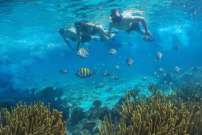 Cozumel Luxury Sailing & Snorkeling with Lunch and Open Bar Onboard - Snorkeling with a guide: gear, instructions, and what to watch