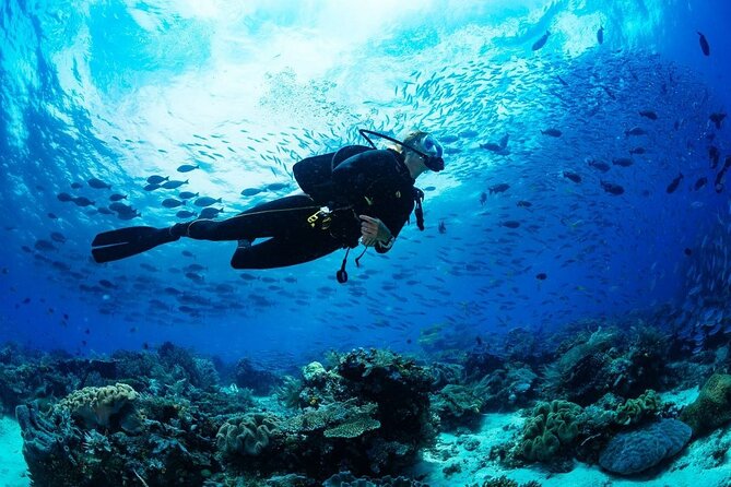 Discover Scuba Diving & Beach Club with Transportation In Riviera Maya - Hotel pickup, shared transport, and how the day flows