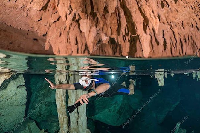 Dos Ojos Cenote VIP Private Tour – Snorkeling & Mayan Lunch - Price and Logistics: Does $184 Make Sense?