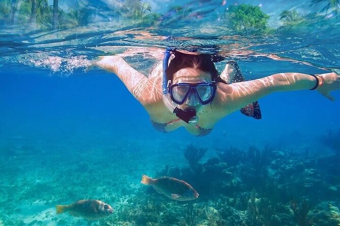 Exotik half a day tour: Cenote Cave and Swimming with Sea Turtles - Time split, small-group size, and the guide team