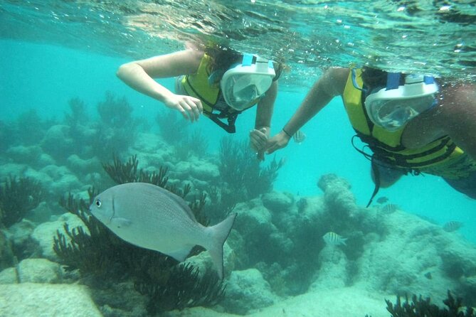 Exotik half a day tour: Cenote Cave and Swimming with Sea Turtles - What to pack so the water part stays fun