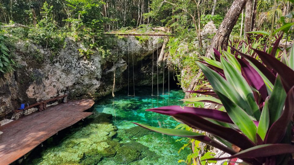 From Cancun: Day Trip to Tulum, Cenote & Playa del Carmen - Price and value: why $51 works, and what costs can surprise you