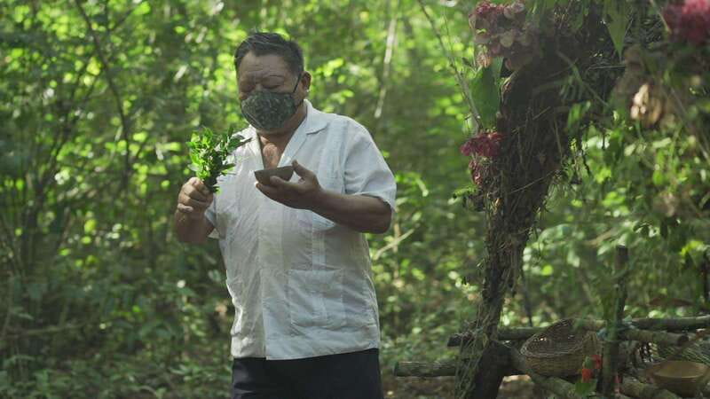 From Riviera Maya: Coba, Punta Laguna & Cenote Guided Trip - Price and value: what $184 covers