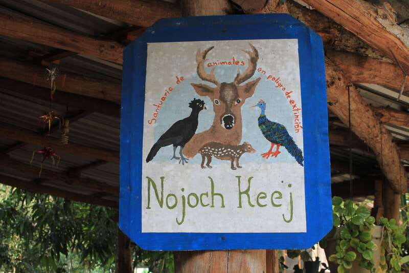 From Riviera Maya: Coba, Punta Laguna & Cenote Guided Trip - What to bring so the day stays fun