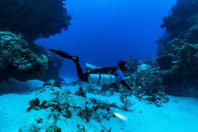 Fun Dive Machine in Playa del Carmen or Cozumel-For Certificates - Price and value: what you’re paying for (and what you’re not)