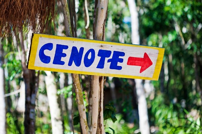 Guided Tour to Chichen Itza Cenote and Valladolid - Food and breaks: regional buffet lunch, drinks extra