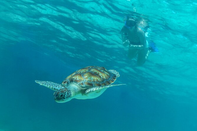 Half-Day Luxury Sailing Experience in Tulum with Open Bar - Open bar and lunch onboard: the part that changes the mood