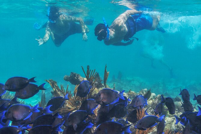 Half-Day Luxury Sailing Experience in Tulum with Open Bar - Paddleboarding plus sun time: the best alternative when snorkeling is brief