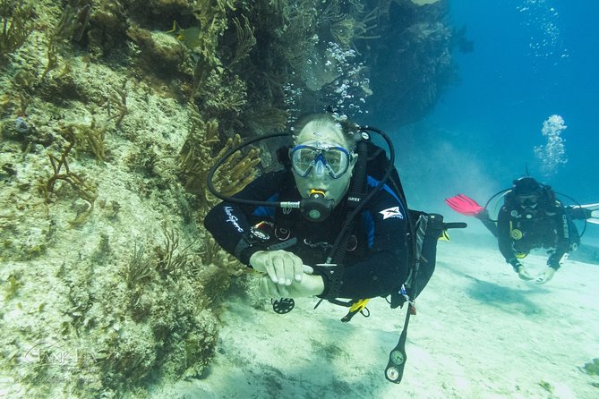 Half-Day Scuba Diving in Playa del Carmen for Small-Group - Who This Half-Day Works Best For