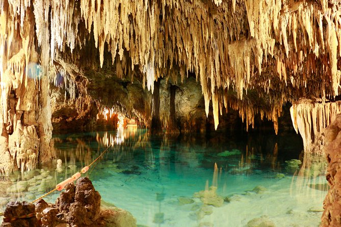 Half-Day Sea Turtle and Cenote Snorkeling Tour from Cancun & Riviera Maya - Stop 1: Akumal Bay snorkeling and the turtle-spotting setup