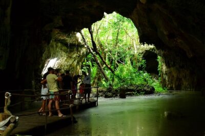 Half-Day Sea Turtle and Cenote Snorkeling Tour from Cancun & Riviera Maya - Pickup timing: why the early start matters at Akumal