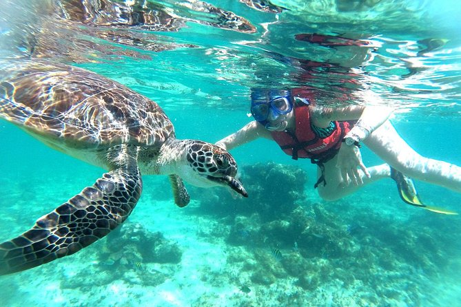Half-Day Sea Turtle and Cenote Snorkeling Tour from Cancun & Riviera Maya - What’s included: the stuff that saves you money and hassle